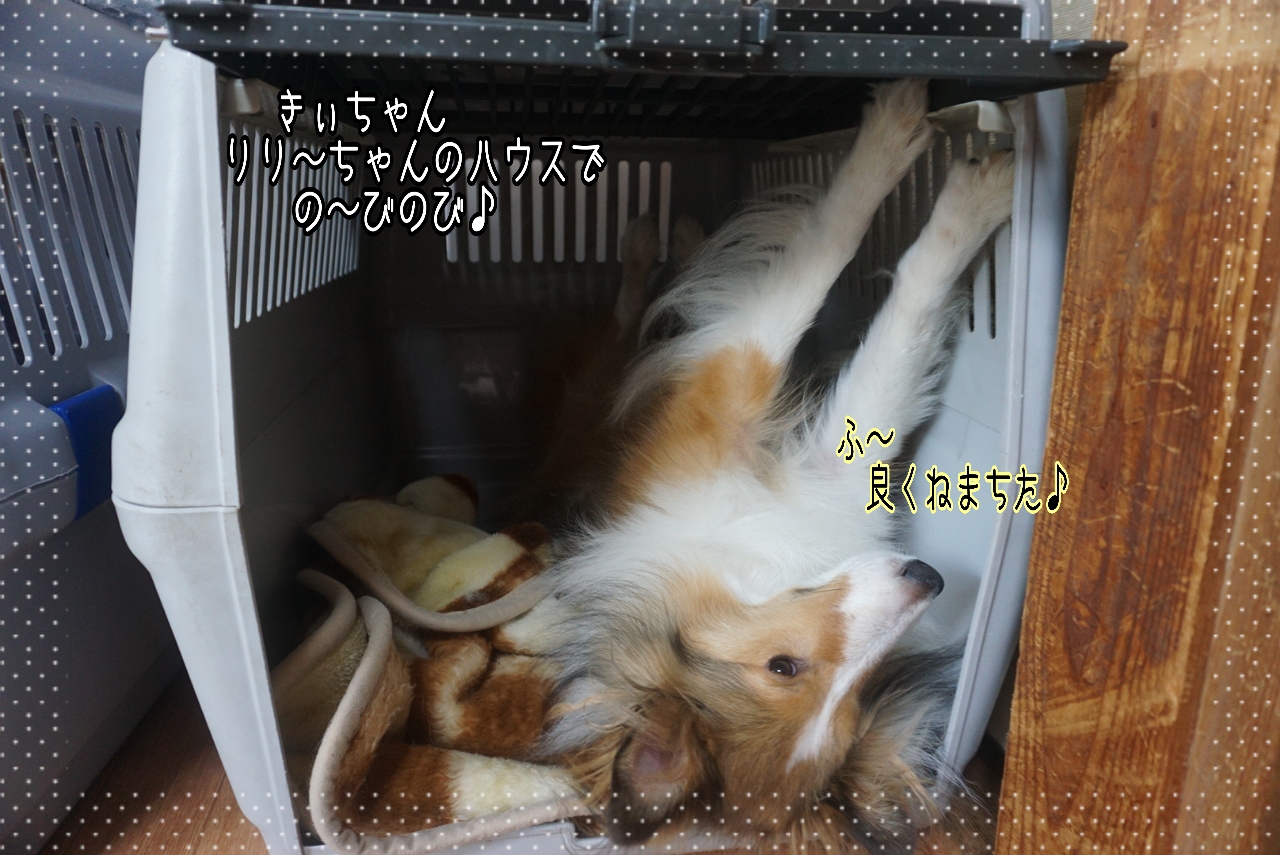 2014-10-22-10-03-01_deco.jpg
