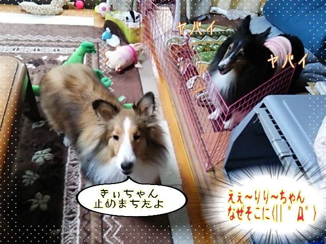 2014-10-22-13-02-51_deco.jpg