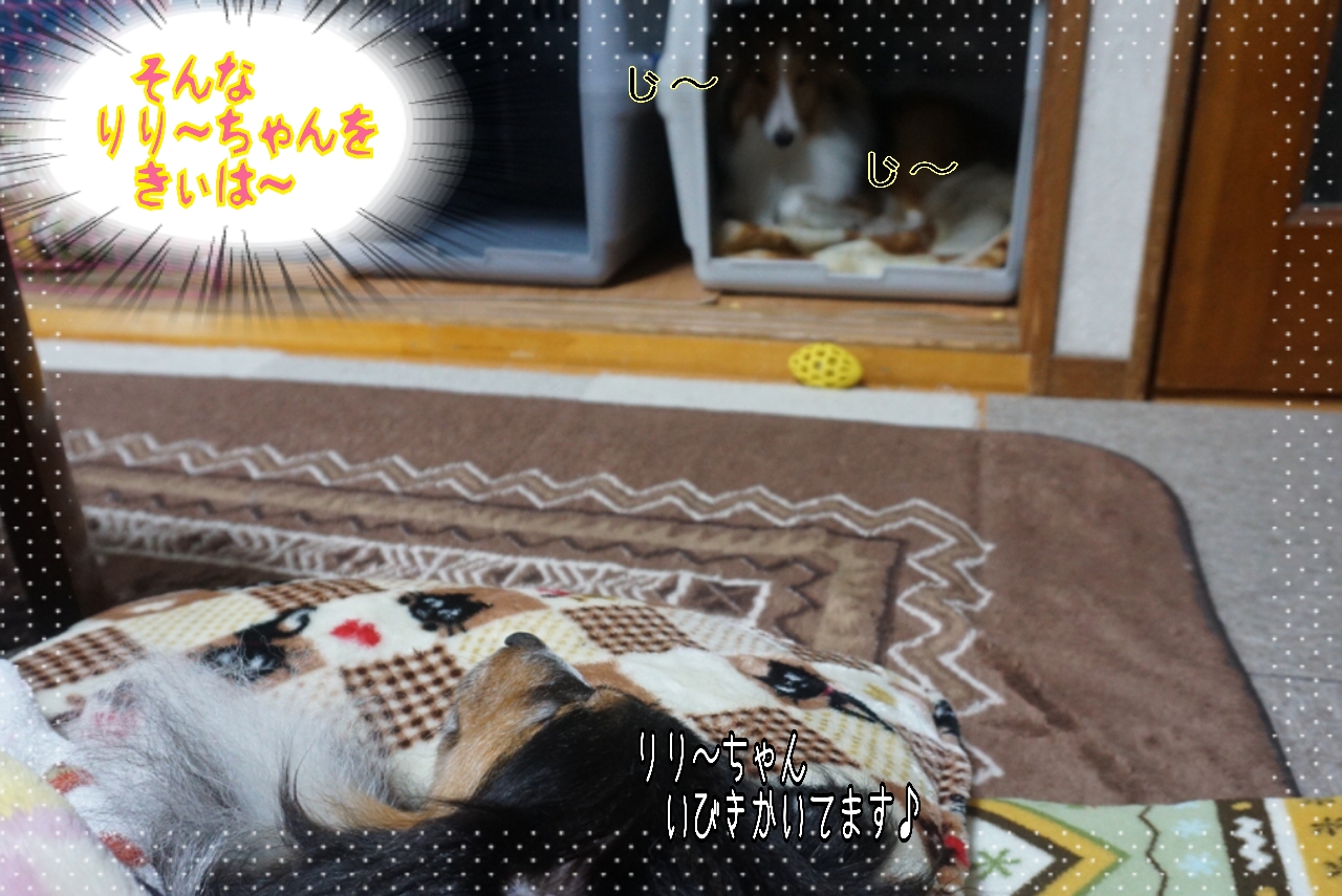2014-10-23-00-49-10_deco.jpg