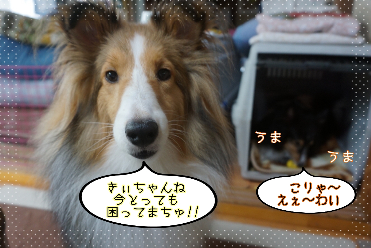 2014-10-23-00-57-03_deco.jpg