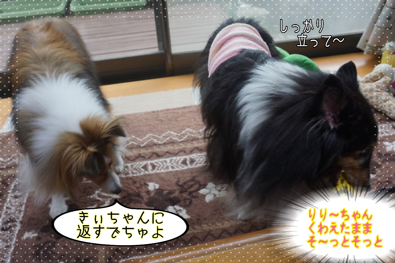 2014-10-23-00-58-59_deco.jpg