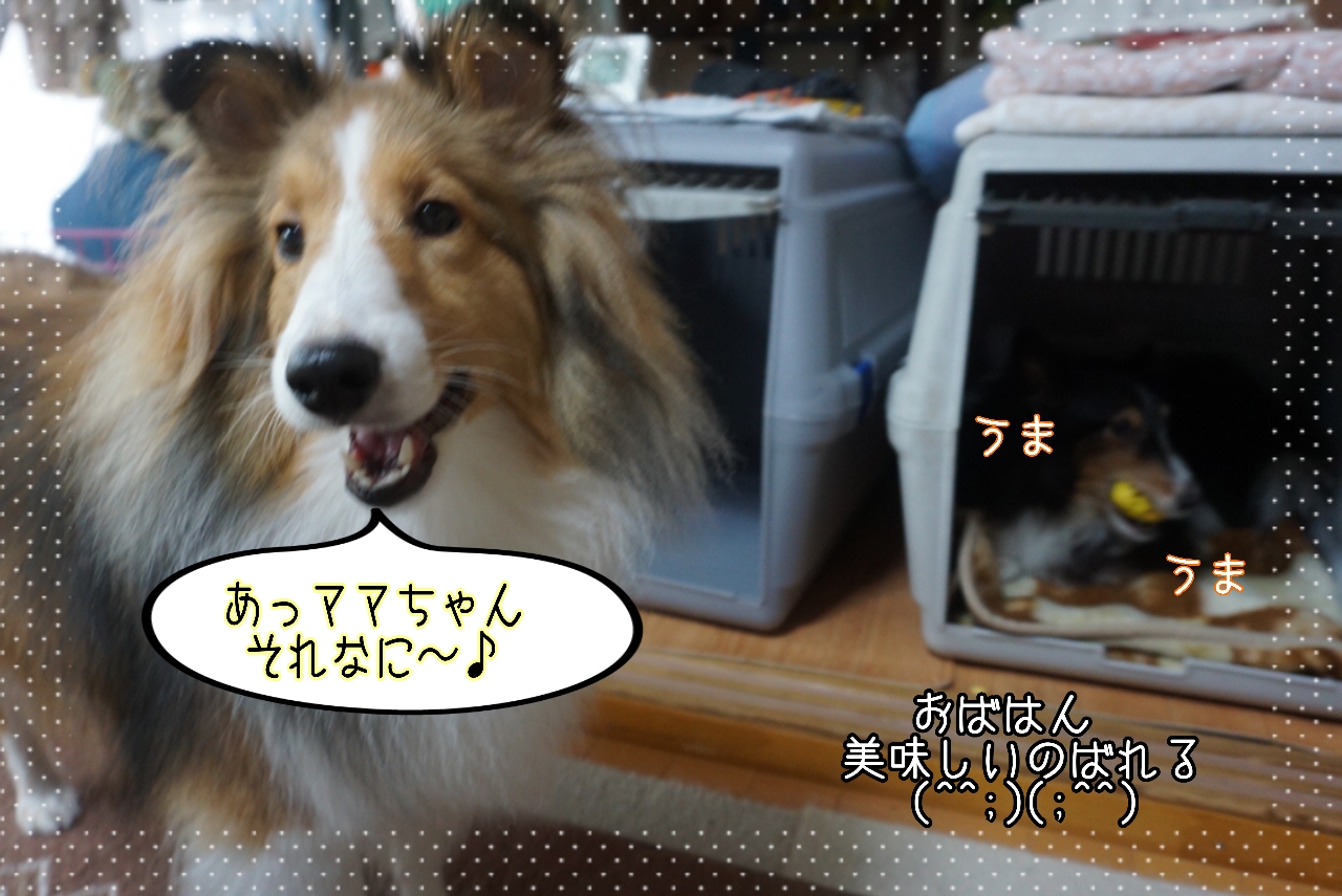 2014-10-23-01-05-44_deco.jpg