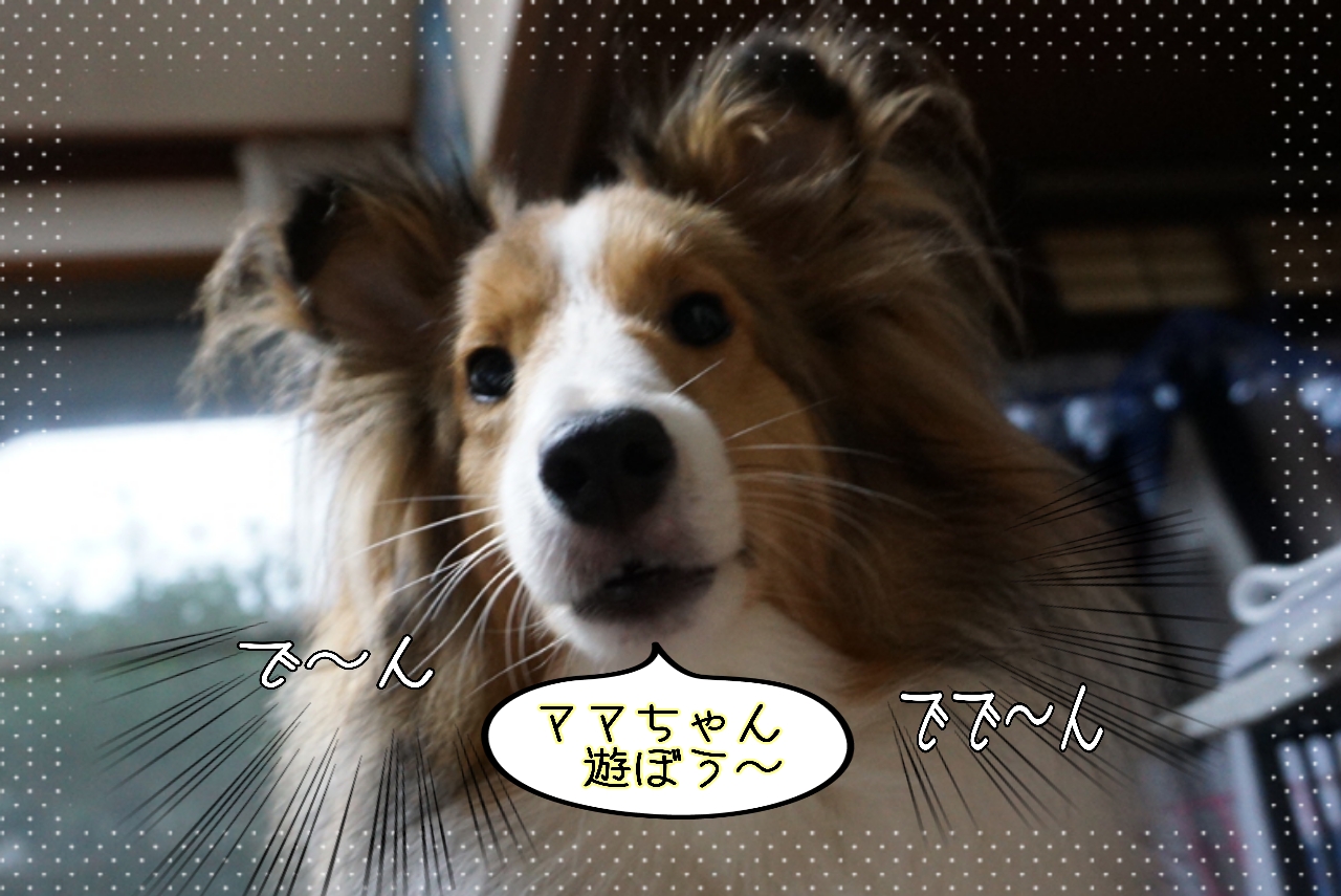 2014-10-24-00-52-11_deco.jpg