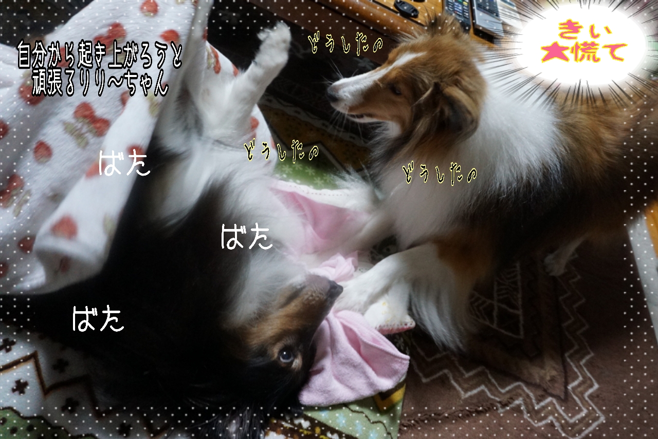 2014-10-24-01-02-26_deco.jpg