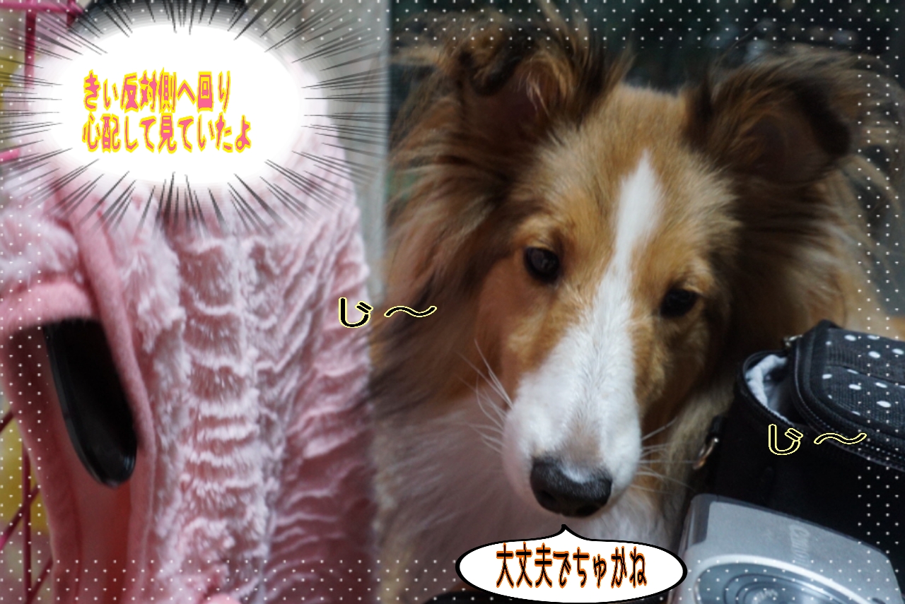 2014-10-24-01-18-52_deco.jpg