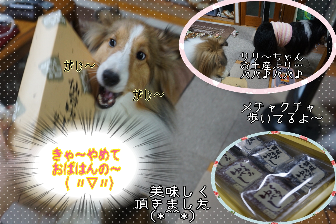 2014-10-24-23-46-59_deco.jpg
