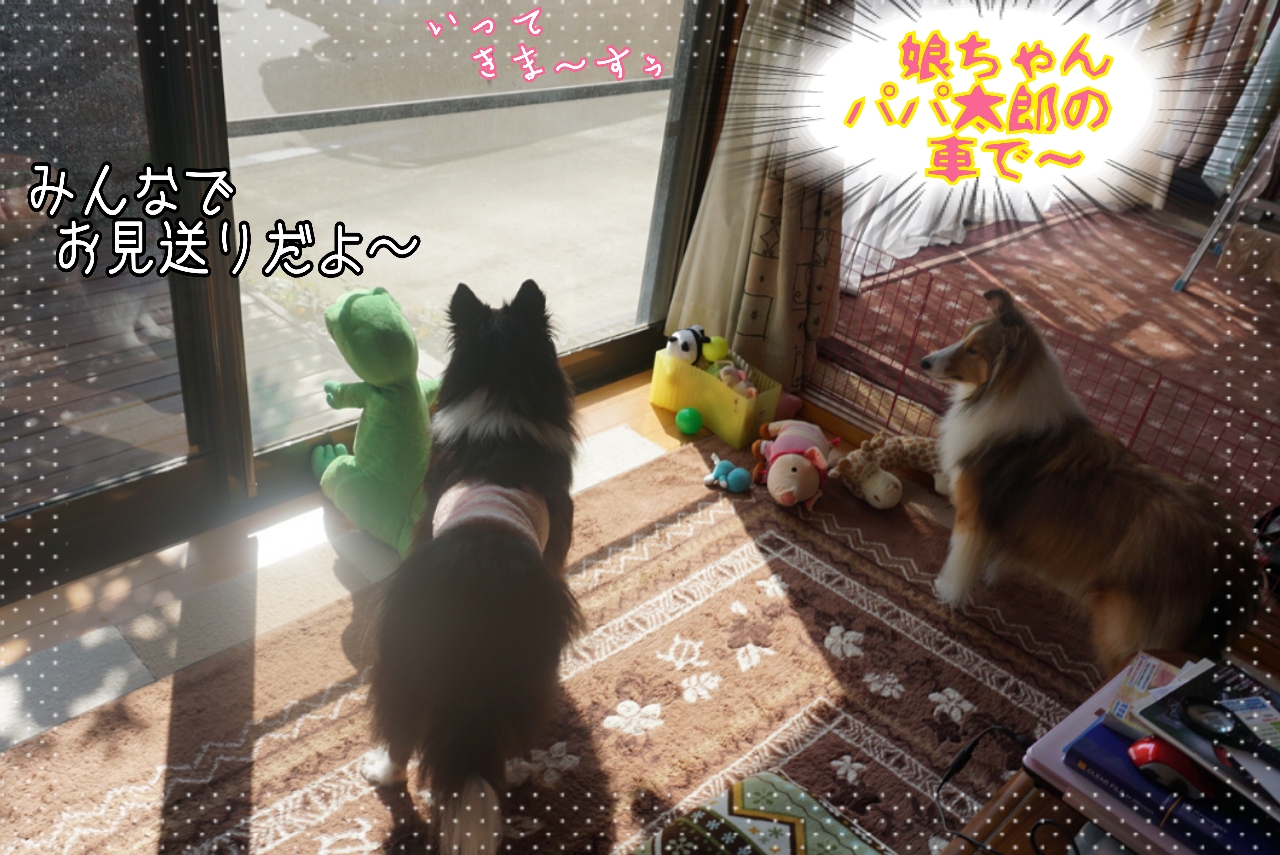 2014-10-25-13-11-39_deco.jpg