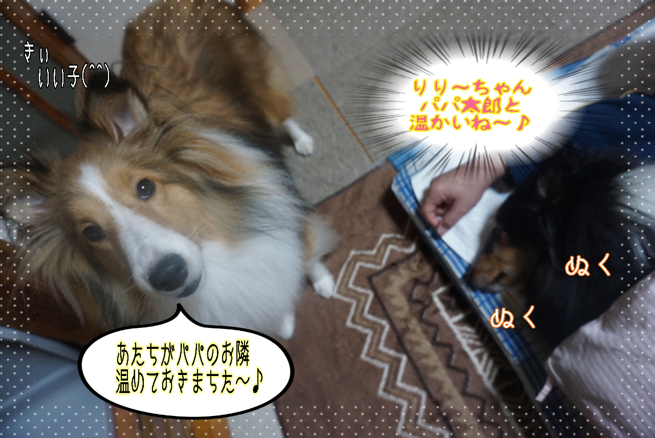 2014-10-26-07-15-12_deco.jpg