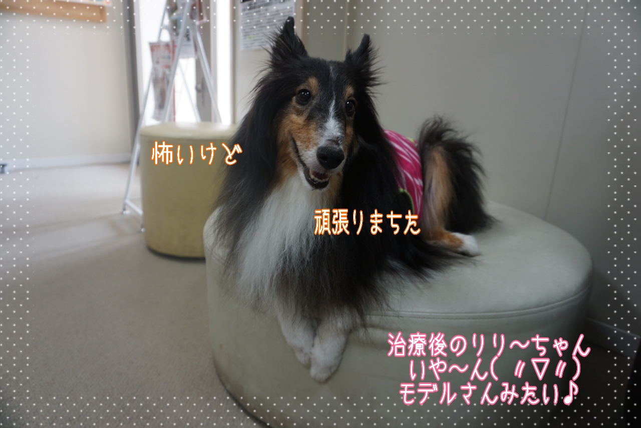 2014-10-26-14-28-22_deco.jpg