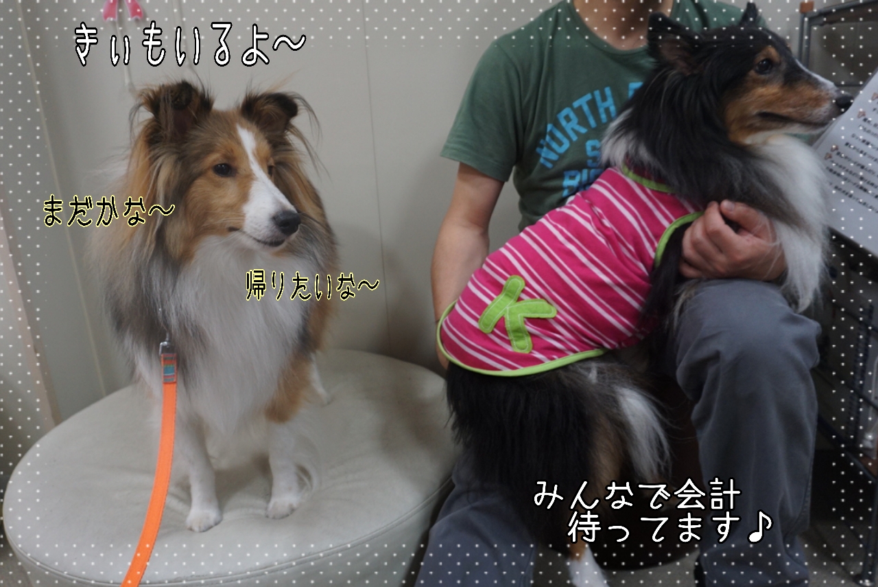 2014-10-26-14-31-04_deco.jpg