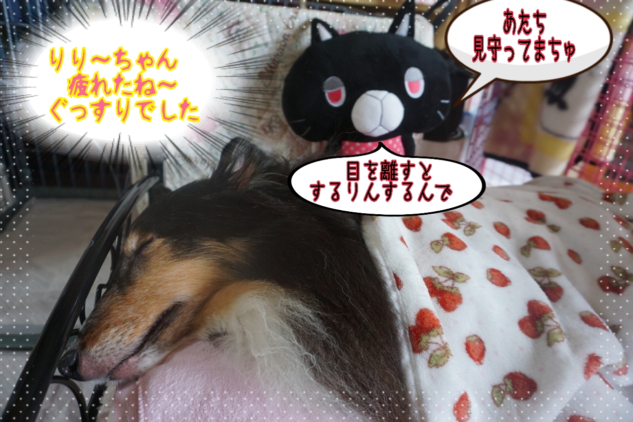 2014-10-26-14-41-10_deco.jpg
