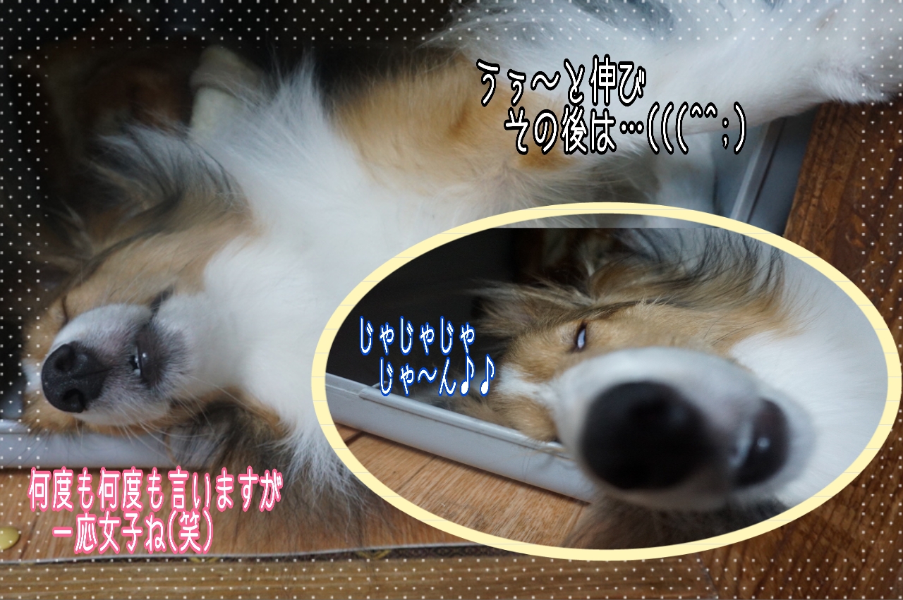 2014-10-26-16-50-54_deco.jpg