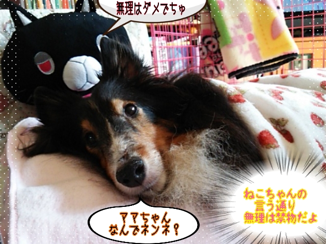 2014-10-27-10-37-36_deco.jpg