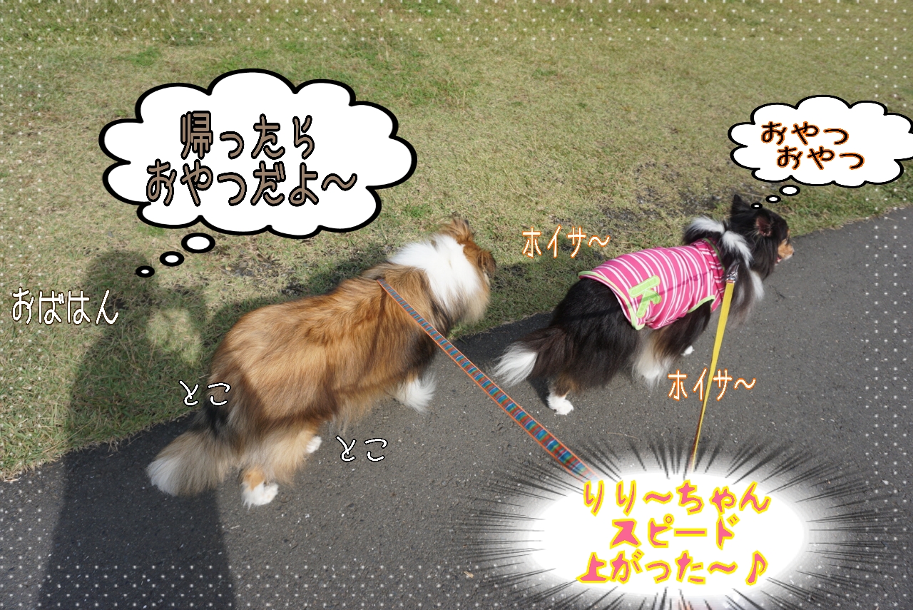 2014-10-27-12-12-41_deco_20141027142403c8d.jpg