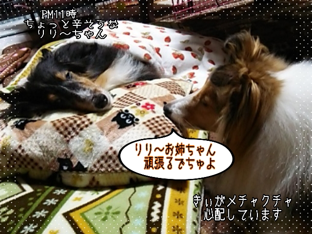 2014-10-27-22-54-20_deco.jpg