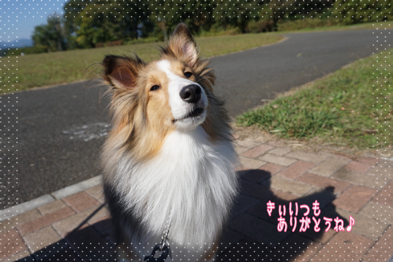2014-10-28-14-35-21_deco.jpg