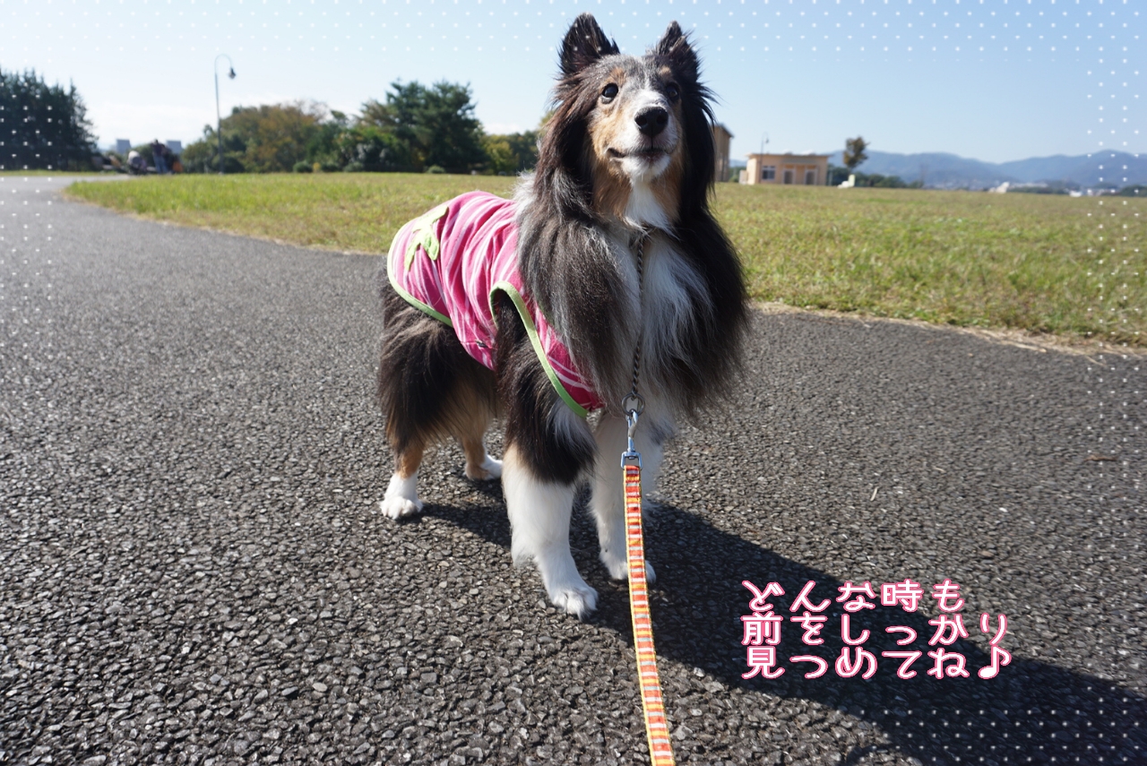2014-10-28-14-41-42_deco.jpg