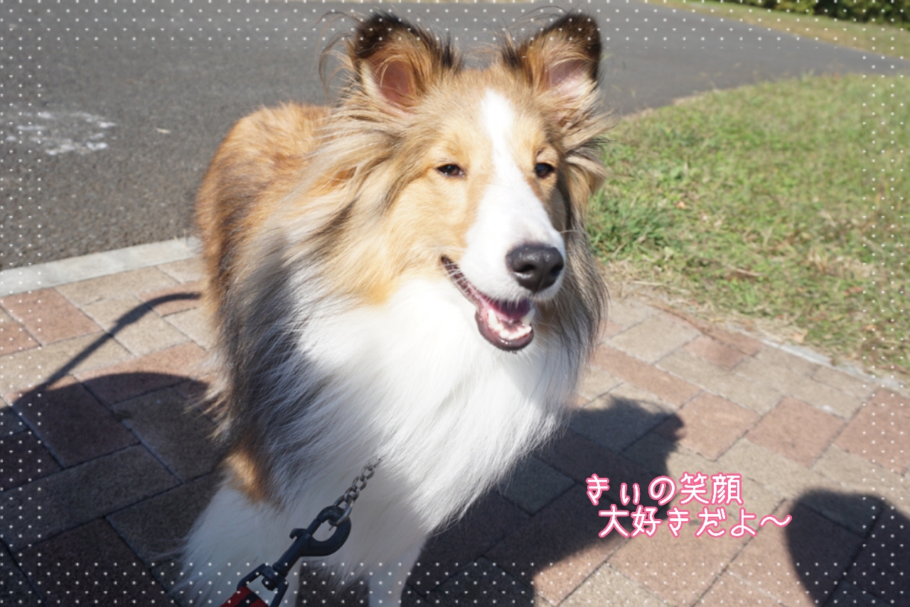 2014-10-28-14-45-02_deco.jpg