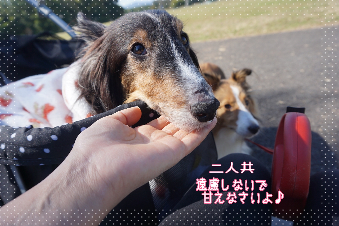 2014-10-28-14-51-12_deco.jpg