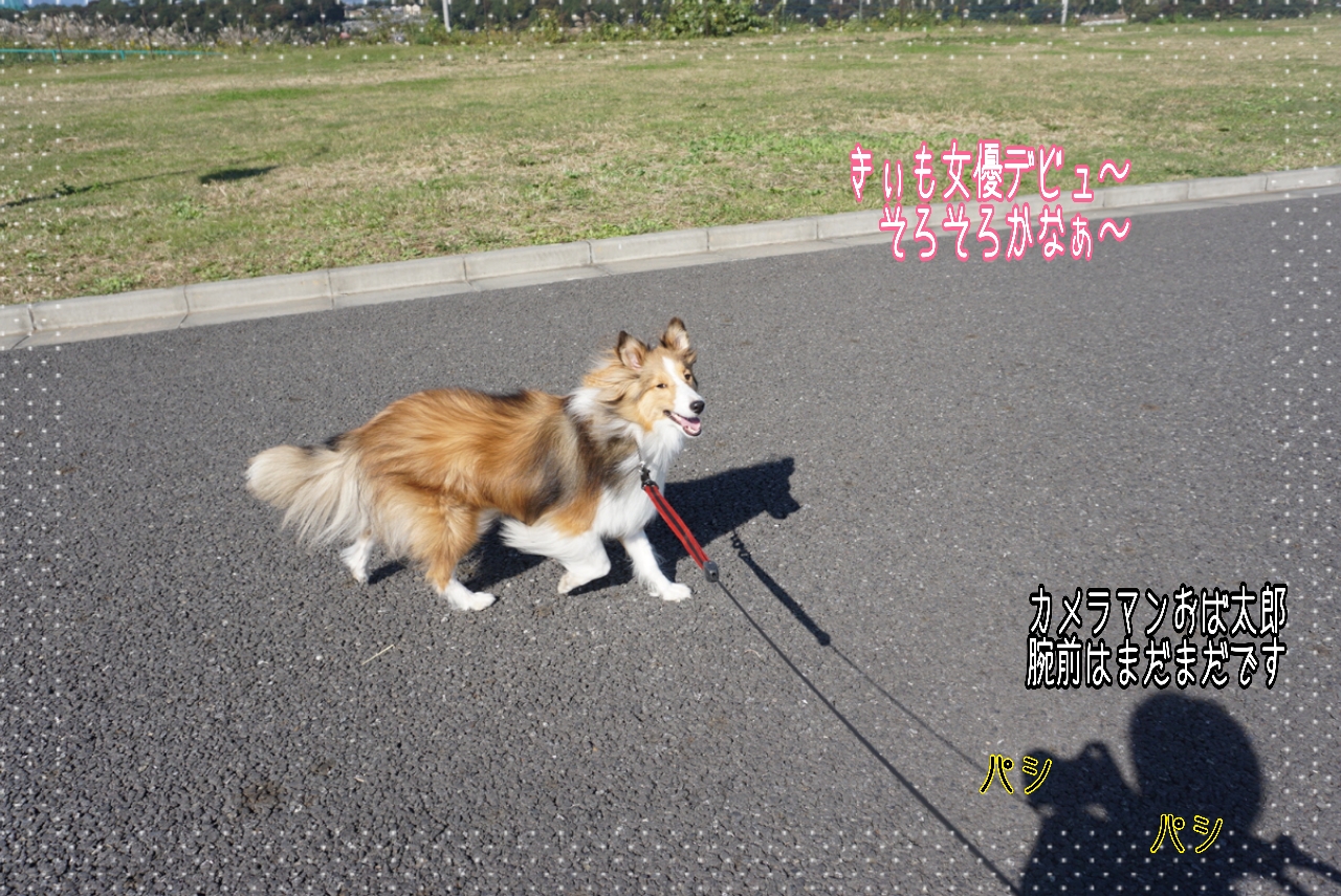 2014-10-28-14-54-52_deco.jpg