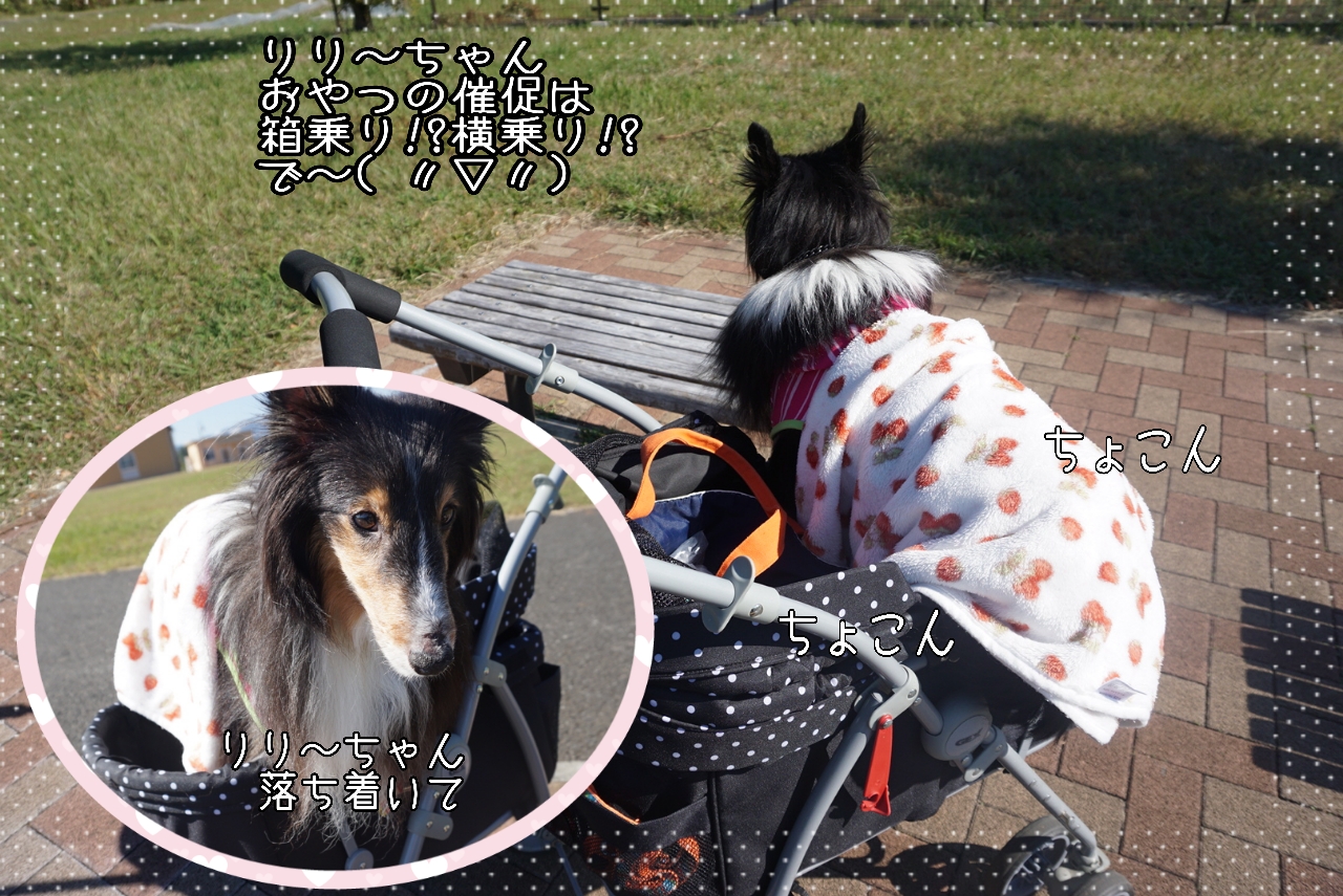 2014-10-28-15-03-44_deco.jpg