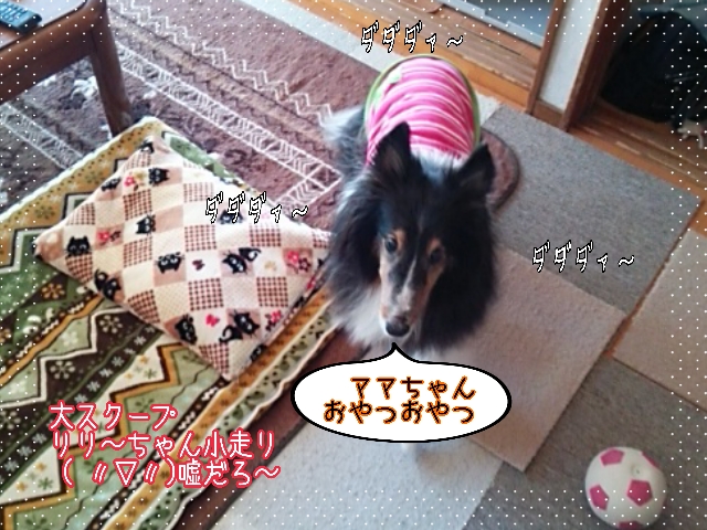 2014-10-28-15-08-44_deco.jpg