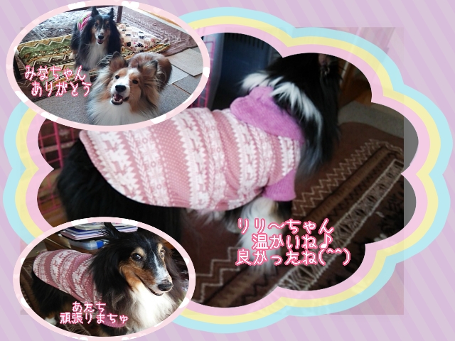 2014-10-28-15-19-16_deco.jpg