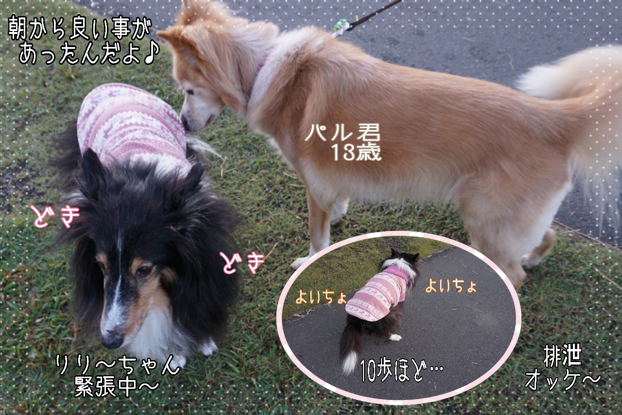 2014-10-29-07-33-30_deco.jpg
