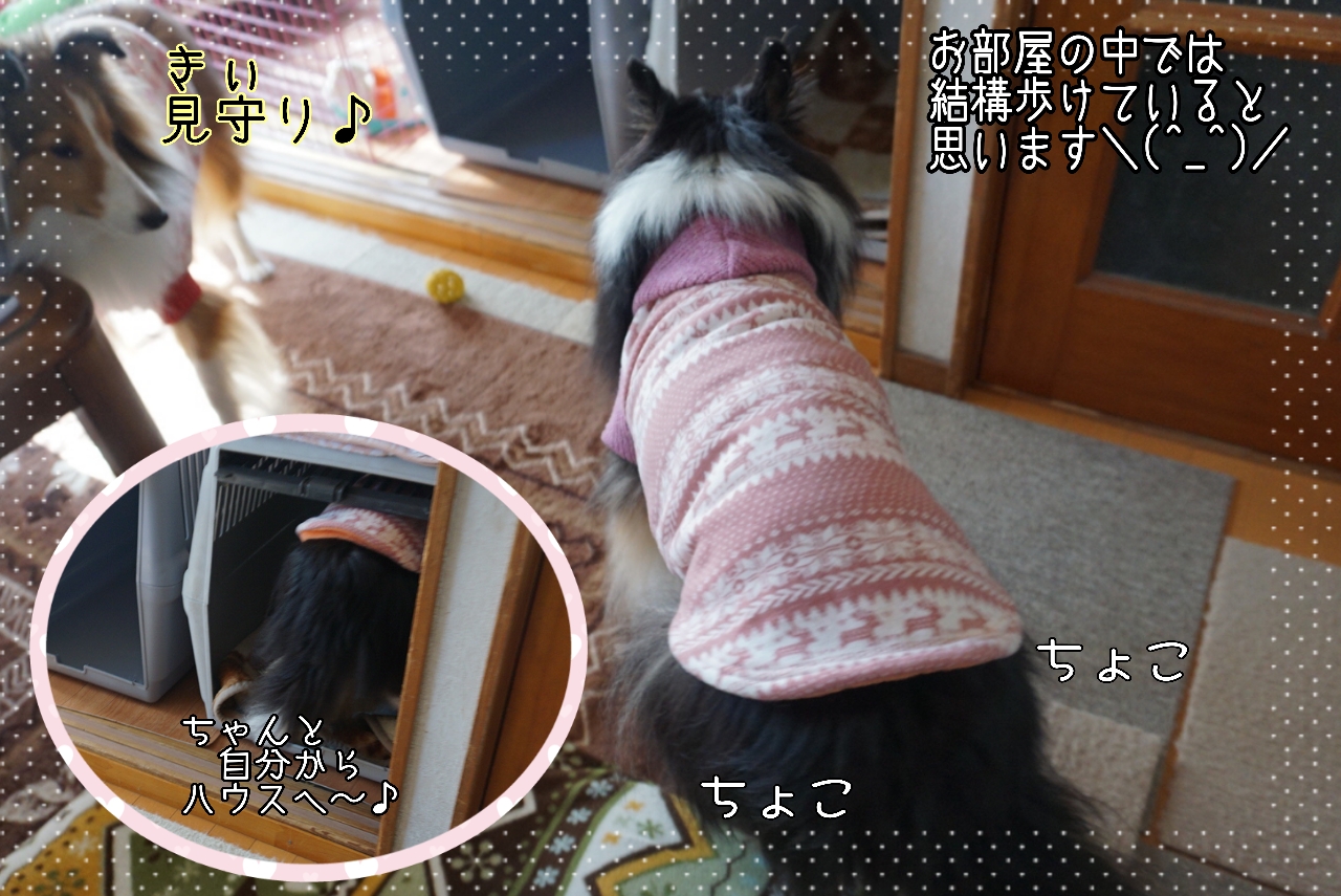 2014-10-29-12-48-02_deco.jpg