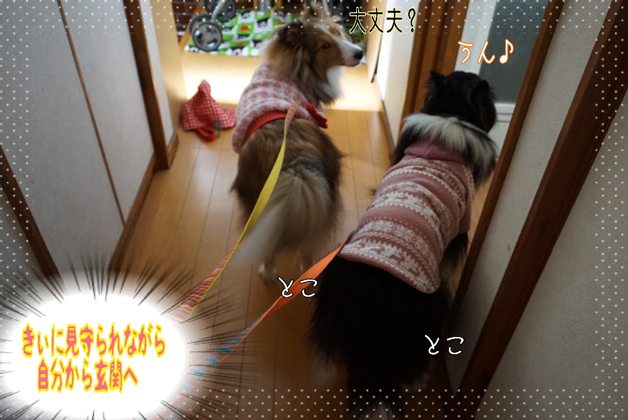 2014-10-29-13-03-57_deco.jpg