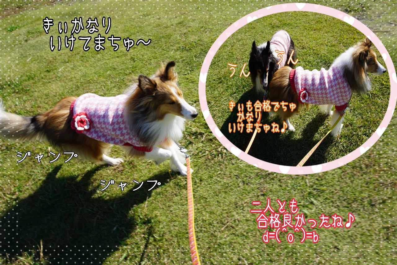 2014-10-29-13-16-31_deco.jpg