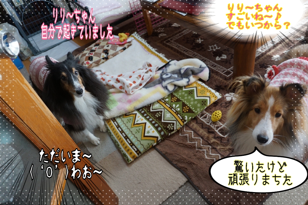 2014-10-29-14-33-09_deco.jpg