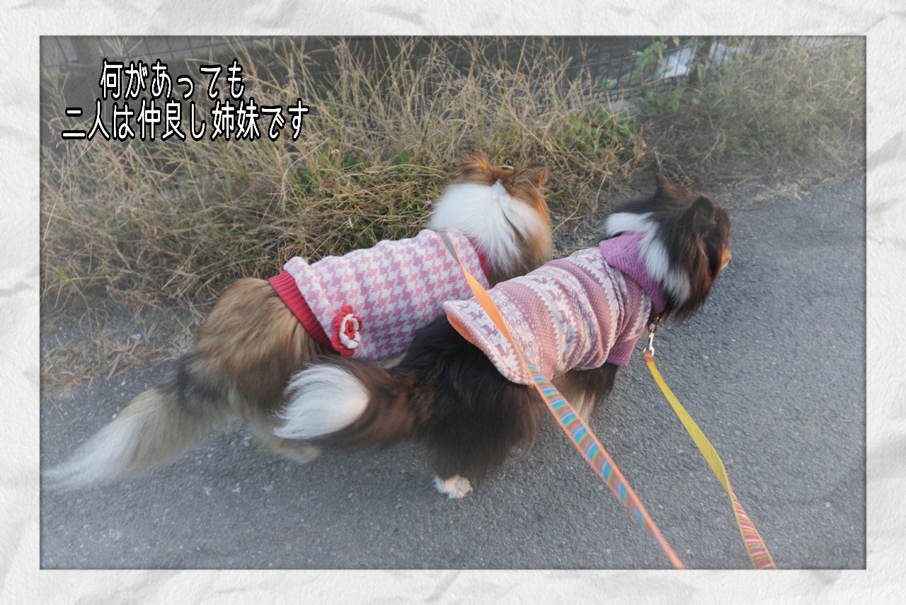 2014-10-29-20-56-39_deco.jpg