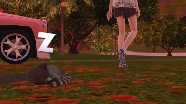 Screenshot-14230.jpg