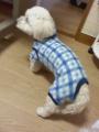 つなぎ2