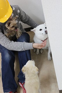 ゆきちゃん