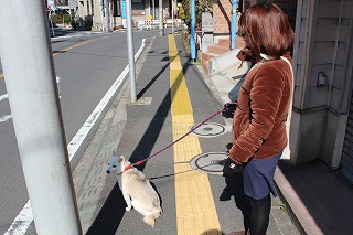 ゆきちゃん