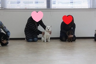 ゆきちゃん