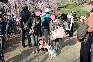ゆきちゃん