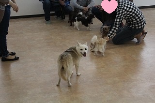 ゆきちゃん