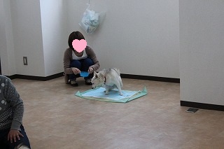 ゆきちゃん
