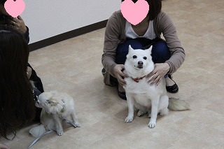 ゆきちゃん