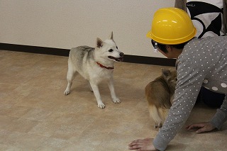 ゆきちゃん