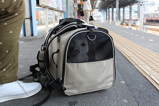 ゆきちゃん