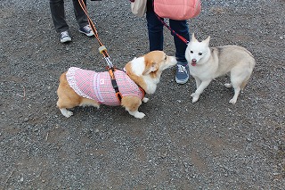 ゆきちゃん