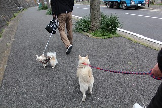 ゆきちゃん