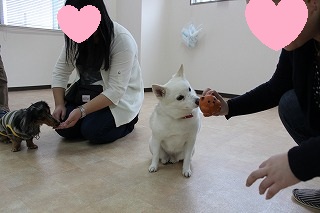 ゆきちゃん