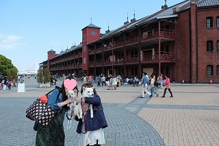ゆきちゃん