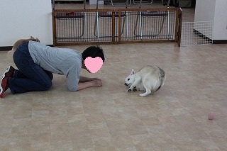 ゆきちゃん