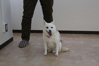 ゆきちゃん